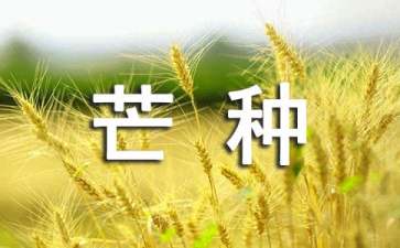 有芒之种，忙有所得